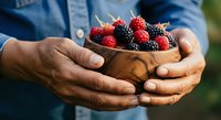 Farmer holding wooden bowl filled with fresh red and black berries, displaying harvested produce in hands outdoors for agricultural and farming content.