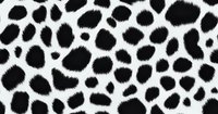 Black and white spotted animal print pattern with irregular organic shapes on white background, seamless repeat design for fashion and textile applications.