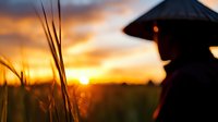 Silhouette of graduate in cap and gown at golden sunset, celebrating academic achievement and educational milestone with warm sky backdrop.