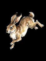 Jumping brown rabbit with long ears isolated on transparent background, ready for t-shirt design, clipart, stickers, sublimation and print-on-demand projects.