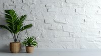 Green tropical palm and succulent plants in woven baskets against white textured brick wall background, minimalist home decor with copy space for text.
