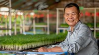 Asian male farmer tending to microgreen sprouts in modern hydroponic greenhouse facility, wearing grey work shirt, displaying genuine smile while monitoring plant growth.