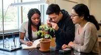 Young diverse students studying together with plant in modern classroom laboratory setting for academic research and learning collaboration.