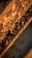 Rusty corroded metal surface with peeling paint and oxidation damage showing weathered industrial decay and deterioration texture for grunge design projects.
