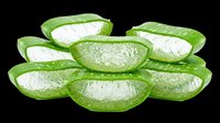 Aloe vera slices with gel interior isolated on transparent background, ready for clipart, t-shirt design, stickers, print-on-demand products, and sublimation projects.