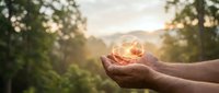 Hands holding glowing light bulb with plant inside against sunset forest landscape symbolizing green energy innovation and environmental sustainability concepts.