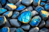 Luminescent labradorite stones displaying vibrant blue and golden flashes arranged on dark rocks, showcasing their distinctive iridescent play of color and natural texture.