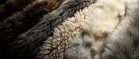 Close-up of luxurious natural fur texture showing soft brown and cream colored animal pelts with detailed fiber patterns for fashion and textile design.