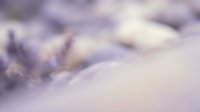 Soft purple and white abstract blur background with dreamy bokeh effect for elegant design projects and creative presentations.