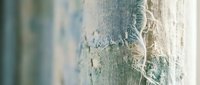 Distressed denim fabric with frayed edges and worn texture showing blue and white cotton fibers in close-up detail for fashion and textile design projects.