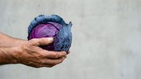 Male hand holding fresh red cabbage with blue-purple leaves against neutral background, suitable for organic produce, healthy eating, cooking, nutrition, and farm-to-table content.