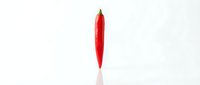 Red chili pepper isolated on white background, ready for culinary design, food packaging, and recipe illustrations.