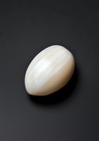 Single white cuttlefish bone on dark background with soft shadow, showing natural texture and organic shape for artistic and educational purposes.