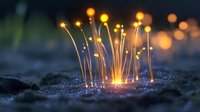 Glowing magical mushrooms emit soft orange light in dark forest setting with sparkling ground, creating enchanted nature atmosphere at night.