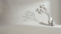Minimalist beige ceramic vases with dried branch casting elegant shadows on neutral wall, modern home decor styling for contemporary interior design.