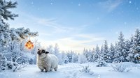 Sheep standing in snowy winter landscape with frost-covered evergreen trees and golden sunset light, suitable for seasonal greeting cards and holiday marketing materials.