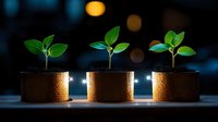 Young green seedlings growing in golden pots against dark background with bokeh lights, representing growth, investment, and sustainable development concept.