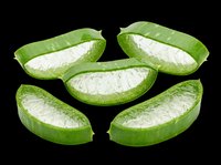 Fresh aloe vera slices with gel exposed, isolated on transparent background. Ready for t-shirt design, stickers, clipart, print on demand, and sublimation projects.