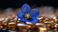Vibrant blue spring flower with yellow stamens resting on golden metallic spheres against dark background, creating luxurious contrast and artistic macro composition.