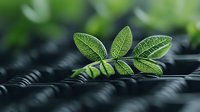 Fresh green leaves with detailed veins and texture emerging from dark background, shallow depth of field creates dreamy botanical macro photography effect.