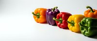 Colorful bell peppers in yellow, orange, purple, red and green arranged in a row on white background for food, cooking, nutrition and healthy eating concepts.