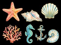 Watercolor sea life collection featuring starfish, seashells, coral, seahorse, and anchor isolated on transparent background. Ready for t-shirt designs, clipart, stickers, sublimation, and print-on-demand products.