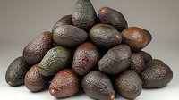 Fresh ripe brown avocados arranged in pile on neutral background, organic healthy food concept for grocery stores and markets.