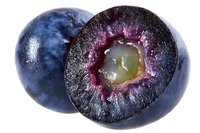 Fresh ripe plum cut in half showing juicy purple flesh and green pit stone isolated on white background for healthy food and nutrition concepts.