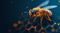 Detailed macro shot of honey bee with translucent wings against dark background with hexagonal honeycomb pattern and glowing bokeh lights, suitable for nature publications.