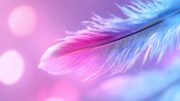 Delicate pink and blue feather with soft bokeh lights in dreamy pastel colors, macro photography showing intricate barbs and texture against blurred background.