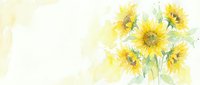 Watercolor sunflowers with soft yellow petals and green stems on light textured background for greeting cards, wedding invitations and floral designs.