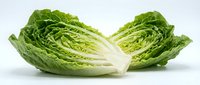 Fresh napa cabbage cut in half showing crisp green leaves and white stem isolated on white background for healthy cooking and nutrition concepts.