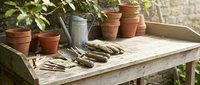 Rustic wooden potting bench with terracotta pots, gardening gloves and watering can in sunny greenhouse setting for spring planting and botanical hobby activities.