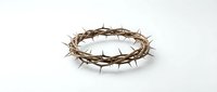 Crown of thorns made from twisted branches with sharp spines, isolated on white background. Suitable for religious, spiritual, and educational content.
