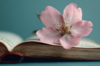 Pink flower resting on open book pages against turquoise background, symbolizing literature, knowledge, and nature combined for educational or inspirational design projects.