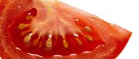 Ripe tomato slice with seeds and juice isolated on white background, fresh produce for culinary and food styling projects.