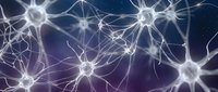 Neural network connections with glowing synapses and dendrites creating intricate pathways in brain tissue for medical and scientific research applications.
