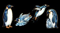Penguin family group isolated on transparent background, featuring adult emperor penguins and chick in various poses, ready for t-shirt design, clipart, stickers, and print-on-demand products.