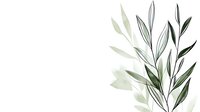 Minimalist olive branch illustration with delicate green leaves and thin stems on white background, perfect for wedding invitations and organic product packaging.