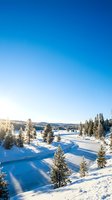 Scenic winter landscape featuring snow-covered terrain with evergreen trees and frozen lake under clear blue sky. Suitable for travel, nature, and seasonal marketing materials.