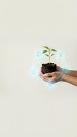 Hands holding seedling with soil and digital sustainability icons representing renewable energy, eco-friendly innovation, and environmental conservation for green business concepts.