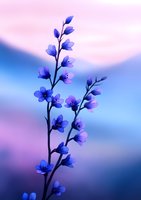 Delicate blue bellflowers against soft pink and blue gradient sky background create dreamy spring atmosphere for nature and botanical designs.