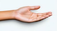 Open palm hand gesture showing empty cupped hand on white background isolated for presentation design and commercial use.
