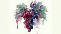 Watercolor grape cluster with green leaves in purple and red tones on white background for wine labels, kitchen decor and culinary designs.