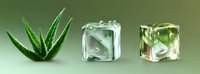 Fresh aloe vera plant with water drops and transparent ice cubes on green background, natural skincare and cooling concept for cosmetic products.