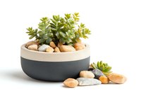 Minimalist concrete planter with succulent plant and decorative stones on white background, modern home decor arrangement isolated for interior design projects.