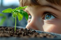 Young child with blue eyes observing green plant seedling sprouting from soil, symbolizing growth, curiosity, and environmental awareness in nature.