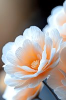 Delicate white flower petals with soft orange glow in macro photography, showing intricate texture and layered composition against dark background.
