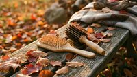 Wooden hair brushes with natural bristles on rustic bench surrounded by colorful autumn leaves for eco-friendly beauty and sustainable haircare routine.