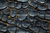Dark cracked surface with glowing golden lines between fragments creates dramatic abstract pattern. Textured background for luxury design projects.